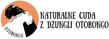 Logo zmienisz w MODERACJA > Wygląd elementów w sklepie > Zarządzanie wyglądem elementów sklepu